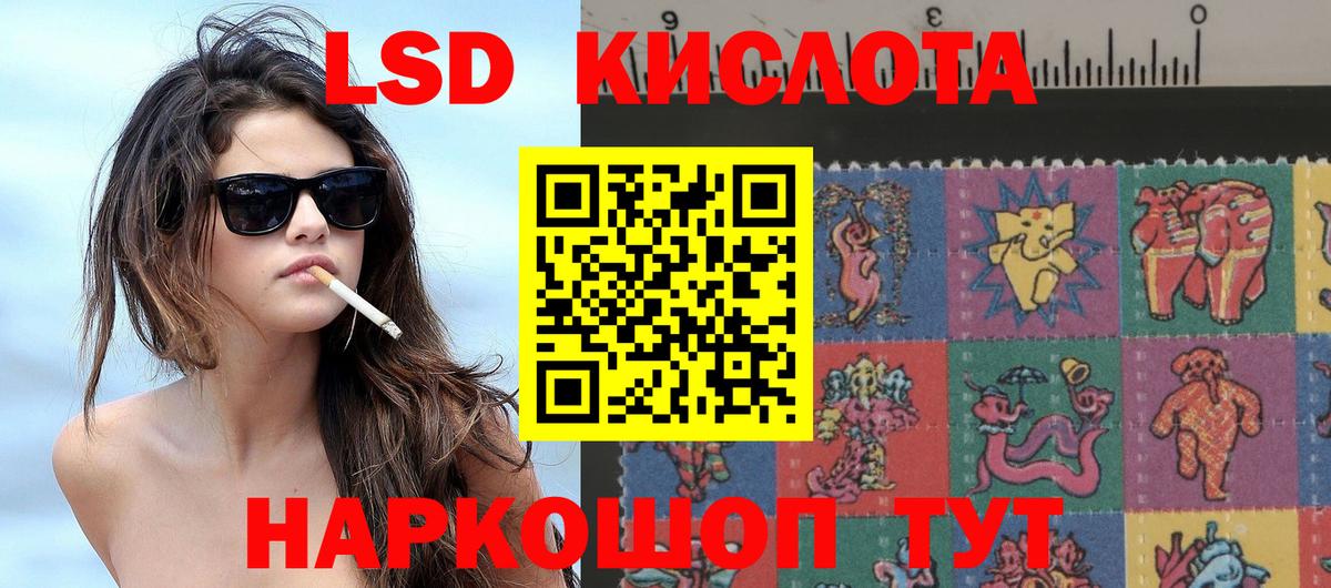 Наркотические марки 1,8мг  Наркотические марки 1,8мг  Вход с VPN  Лесной 