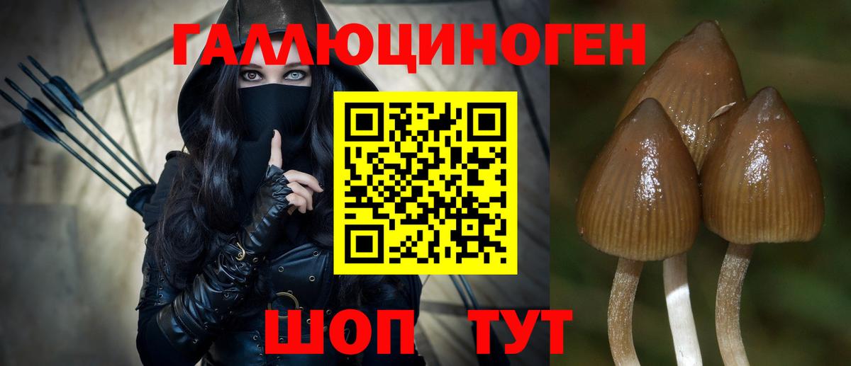 Галлюциногенные грибы GOLDEN TEACHER  Псилоцибиновые грибы Psilocybine cubensis  где купить   Вход с VPN  Лесной 